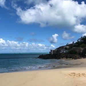 Meet your Posher, Ella